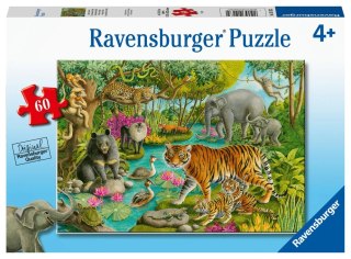 Ravensburger Puzzle Zwierzęta z Indii 05163