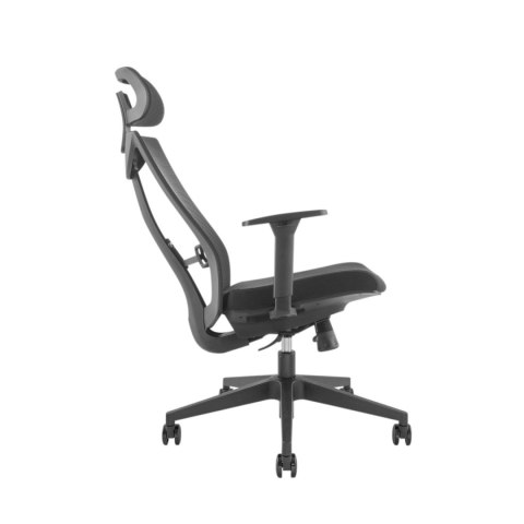 Fotel biurowy ergonomiczny premium z wysokim oparciem Ergo Office, max 150kg, ER-414