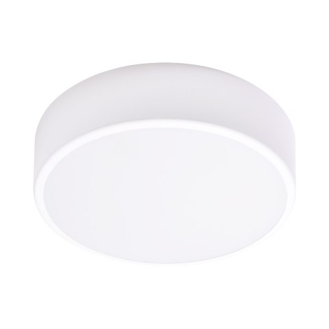 OVO plafon LED, 43W, 4000K, 4750lm, biała stal, klosz szklany matowy, IP20, ? 400