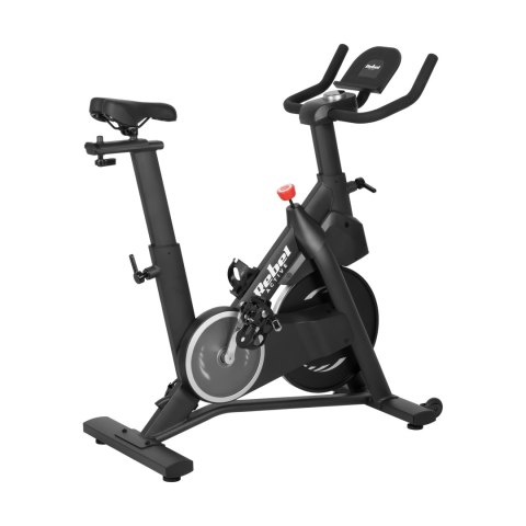 Rower spinningowy REBEL ACTIVE model RBA-1006