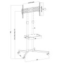 Stand wózek do TV Maclean, profesjonalny,32-70", na kółkach, max. VESA 600x400, max. 40kg, MC-951