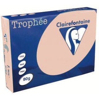 PAPIER TROPHEE A4/80 G ŁOSOSIOWY (500)