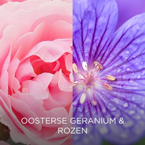 Air Wick Botanica Oosterse Geranium & Rose Świeca Zapachowa 120 g