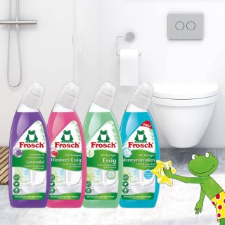 Frosch WC-Reiniger Himbeer-Essig Żel WC 750 ml