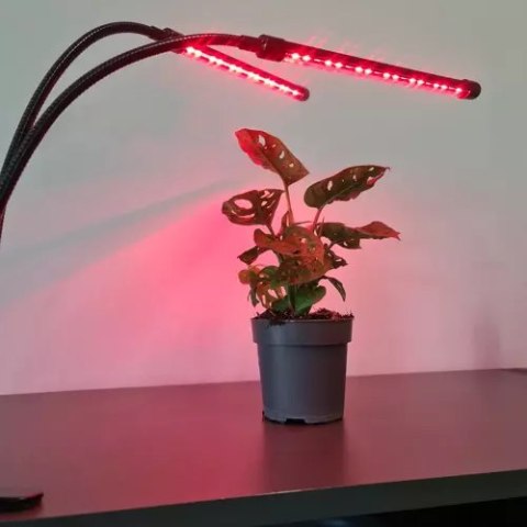 Lampa 20 LED 2szt. do wzrostu roślin Gardlov 19241