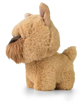 Teddy Pets - Maskotka Griffon Bruxellois