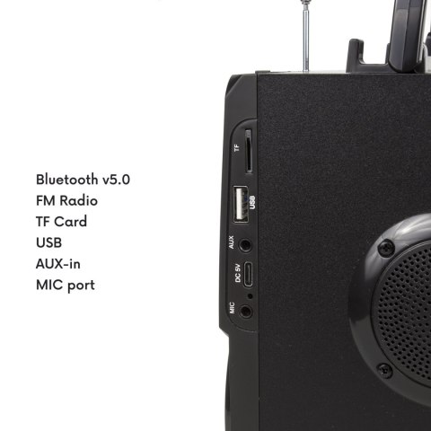 Głośnik przenośny bluetooth Audiocore, radio FM, wejście kart SD/MMC, AUX, USB, pilot, AC730