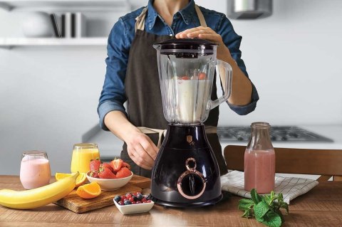 BLENDER BERLINGER HAUS BH-9025 BLACK ROSE