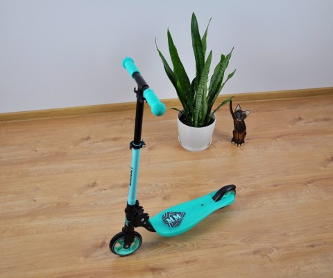 Scooter Smart Mint