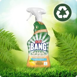 CILLIT BANG Naturally Powerful Łazienka 750ml Spray