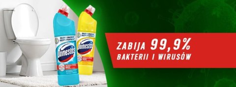 Domestos Płyn Do WC 750ml Atlantic