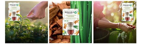 Botanica by Air Wick Karaibski Wetiwer & Drzewo Sandałowe/Caribbean Vetiver & Sandalwood 19ml Komplet