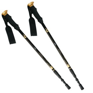 NW-TK19 KIJE TREKKING/NORDIC WALKING 50% CARBON