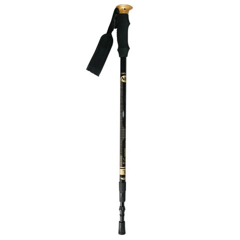 NW-TK19 KIJE TREKKING/NORDIC WALKING 50% CARBON