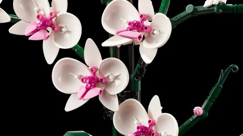 10311 - LEGO Icons - Orchidea