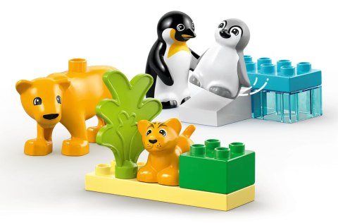 10442 - LEGO DUPLO - Rodziny dzikich zwierząt: pingwiny i lwy