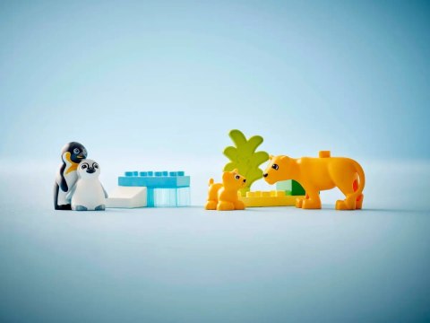 10442 - LEGO DUPLO - Rodziny dzikich zwierząt: pingwiny i lwy