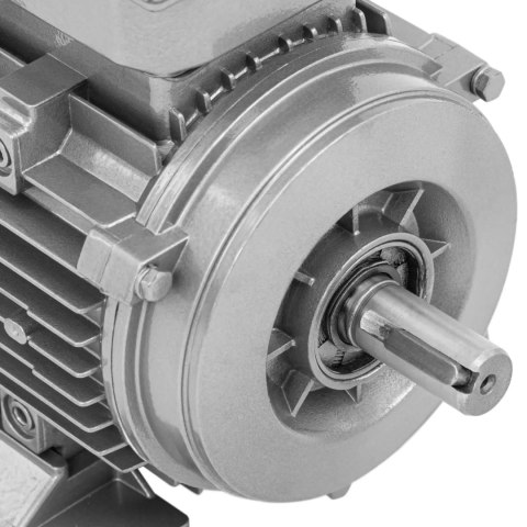 Silnik elektryczny asynchroniczny trójfazowy 2870 obr./min 230/400 V 0.75 kW