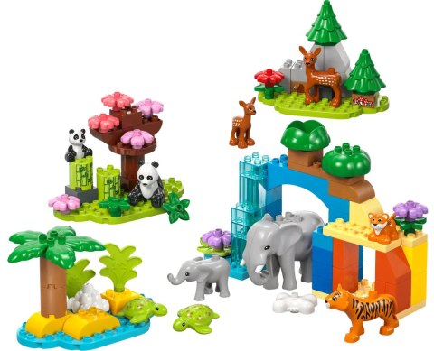 10446 - LEGO DUPLO - Rodziny dzikich zwierząt 3 w 1