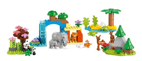 10446 - LEGO DUPLO - Rodziny dzikich zwierząt 3 w 1