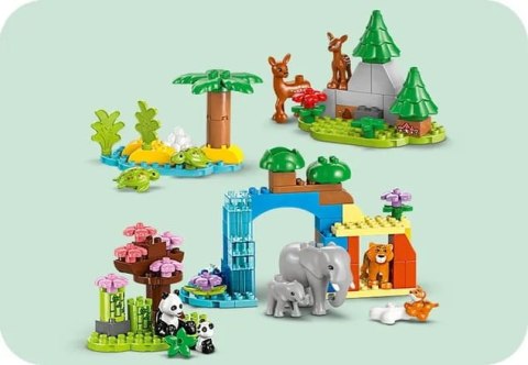 10446 - LEGO DUPLO - Rodziny dzikich zwierząt 3 w 1