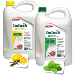 Płyn do naczyń Ludwik 5L Cytryna