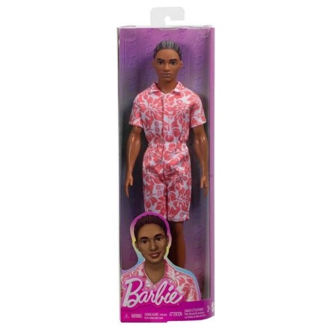 Barbie Fashionistas. Ken Stylowy HYT99