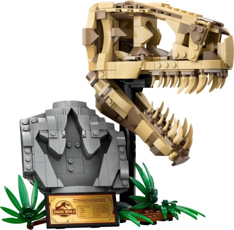 76964 - LEGO Jurassic World - Szkielety dinozaurów — czaszka tyranozaura