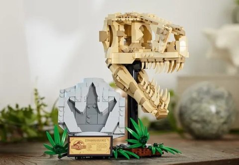 76964 - LEGO Jurassic World - Szkielety dinozaurów — czaszka tyranozaura